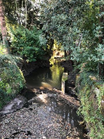 Gite Du Moulin De La Virvee Saint-André-de-Cubzac 외부 사진